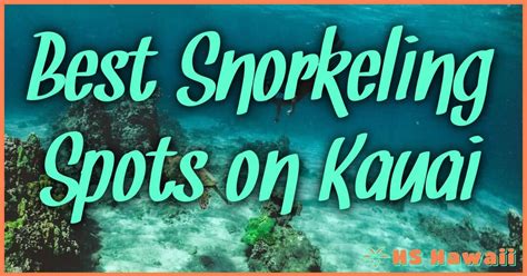 Best Snorkeling Spots On Kauai: Your Ultimate Guide To Underwater Paradise