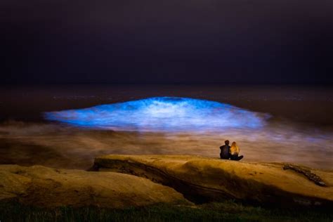 Explore 7 Must-See Bioluminescent Beaches in the World in 2024