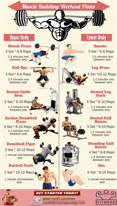 Muscle Building Workout Routine For Men