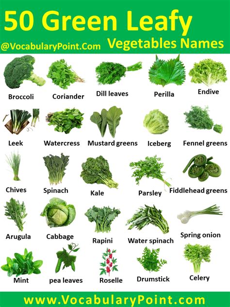 50+ Green Leafy Vegetables Names in English With Pictures - Vocabulary Point