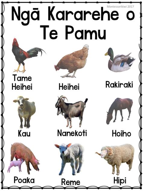 Maori Animal Posters x 4 – montessorikiwi