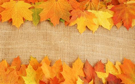 Autumn Leaves Textures Background Autumn Slides Backgrounds for Powerpoint Templates - PPT ...