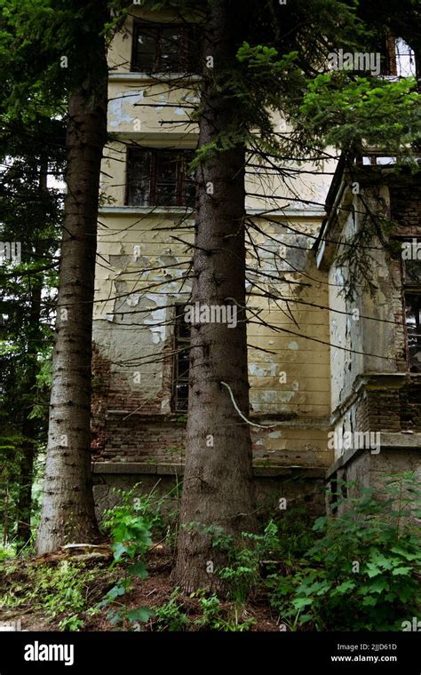 Abandoned house in the forest Stock Photo - Alamy