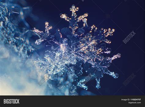 Real Snowflake Under Microscope Image & Photo | Bigstock