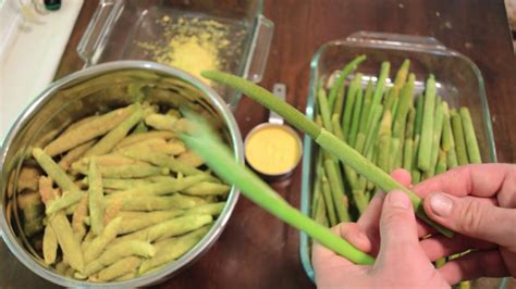 Bushcraft Survival Skills, Cattail on the Cob and Cattail Pollen Wild ...