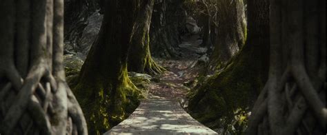 Mirkwood ♥ - The Hobbit: The Desolation of Smaug Photo (37025732) - Fanpop