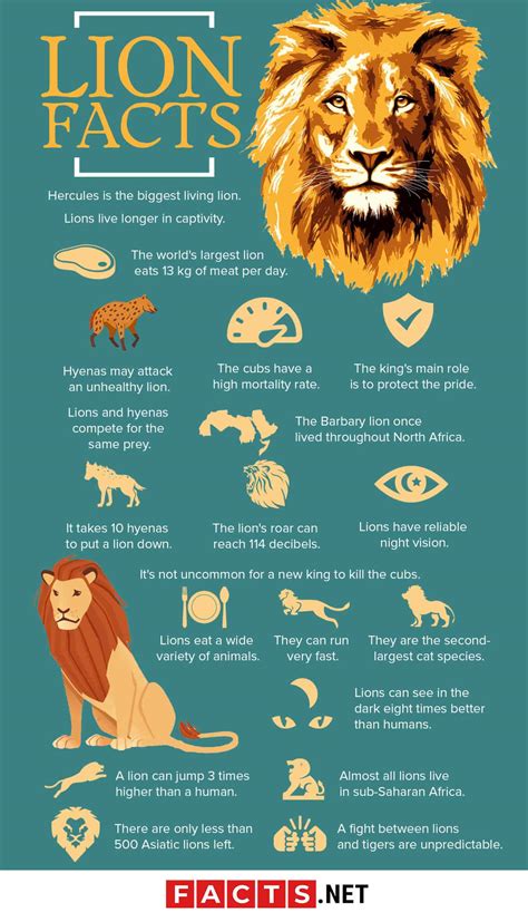 70 Roaring Lion Facts That You Never Knew About