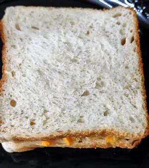 Simple Cheese Toast Sandwich | Plain Cheese Toast Sandwich - The Spicy Cafe