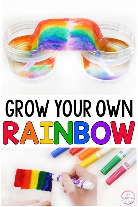 Grow a Rainbow Science Experiment – Audit Student