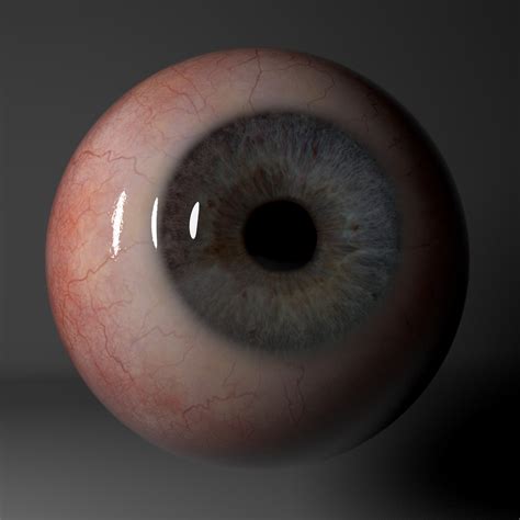 ArtStation - Realistic eye model | Resources