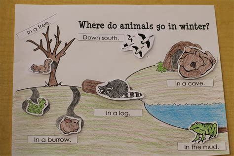 Hibernating Animals Worksheet Kindergarten