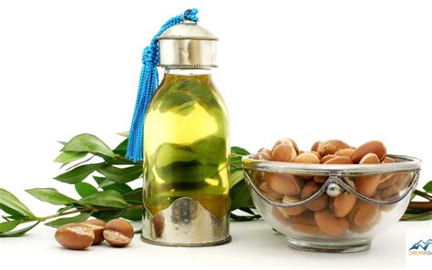 Argan Tree Seeds