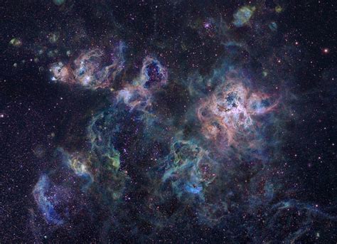 Tarantula Nebula Region | Nebula, Astronomy, Tarantula