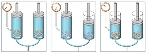 Maceration Extraction Apparatus - Extraction of natural products | Nawah Scientific : ¾ the raw ...