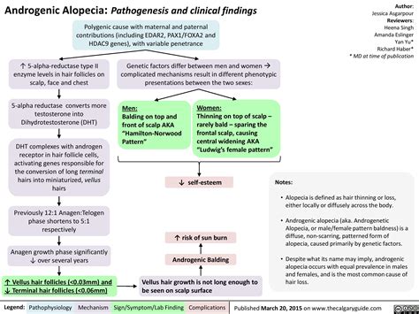 Androgenic Alopecia | Calgary Guide