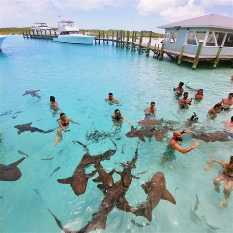 Top Things to do in Exuma Bahamas: Travel Guide | Exuma bahamas ...