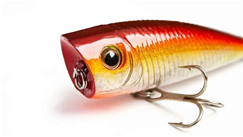 7 Essential Saltwater Fishing Lures That Catch Fish Anywhere.