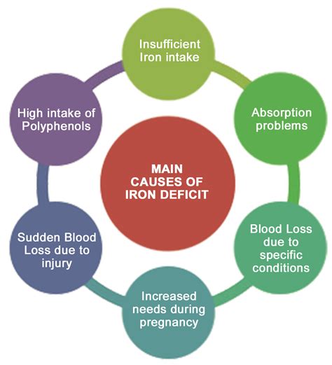 Main causes of Iron deficiency - Fortiferrum