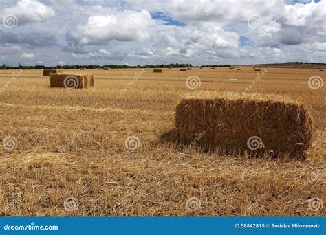 Straw bales 2 stock image. Image of field, corn, food - 58842815