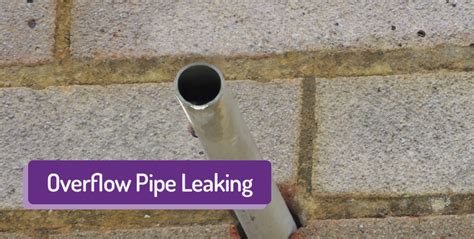 Overflow Pipe Leaking - Why is my overflow pipe leaking & how to fix it!