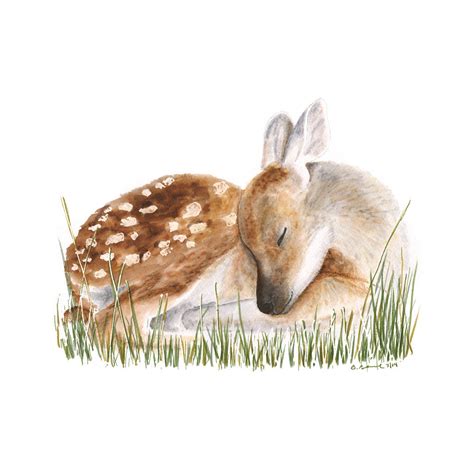 Sleeping Baby Deer | Nursery Art | Tiny Toes Design