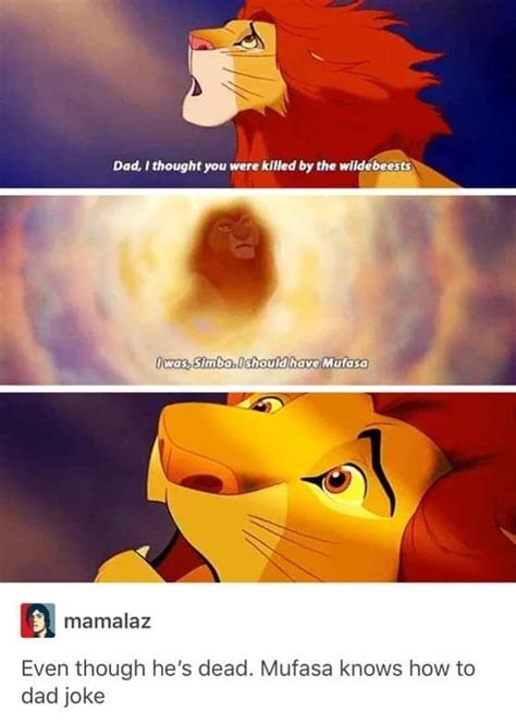 The best Mufasa memes :) Memedroid