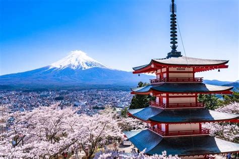 Cherry Blossom ! Five-Story Pagoda,Mt. Fuji 5th Station,Panoramic Ropeway 2024 - Tokyo