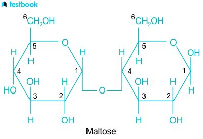 Maltose Formula: Know Structure, Properties, Preparation & Uses