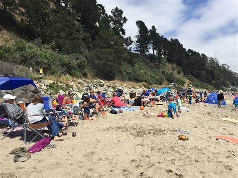 Stacy Family: New Brighton State Beach Camping, Santa Cruz