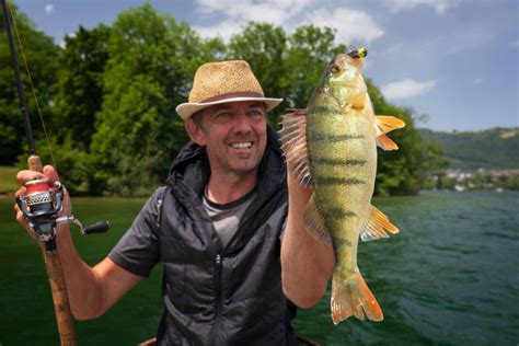 Perch Fishing Tips - Expert Techniques and Tools You Need to Know