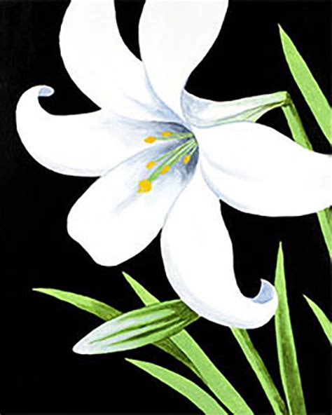 Spring - Easter Lily