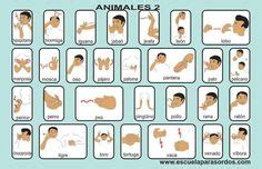 17 Mexican Sign Language ideas | sign language, language, learn sign ...