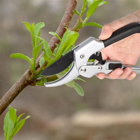 Garosa Garden Scissors, Fruit Tree Pruning Shears, Professional Steel Bonsai Grafting Cutter ...