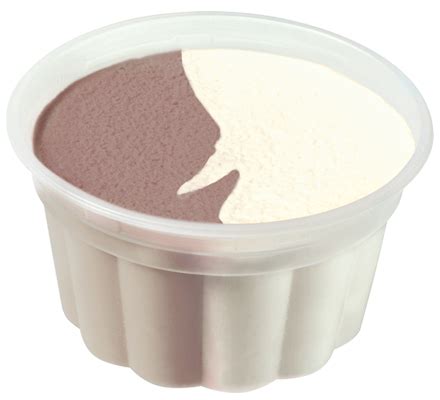 Low Fat Chocolate Vanilla Ice Cream Cup - Wells Foodservice