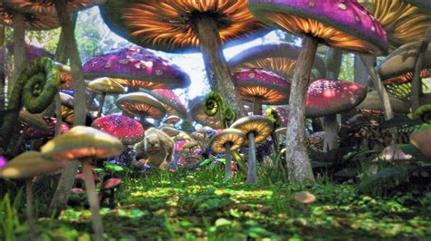 Mushroom Forest Wallpaper (64+ images)