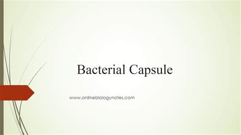 Bacterial Capsule: structure, function and examples of Capsulated ...