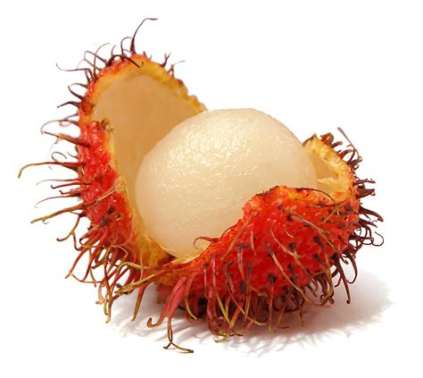 Rambutan Fruit Tree