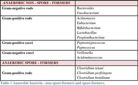 Anaerobic Vs Aerobic Bacteria List