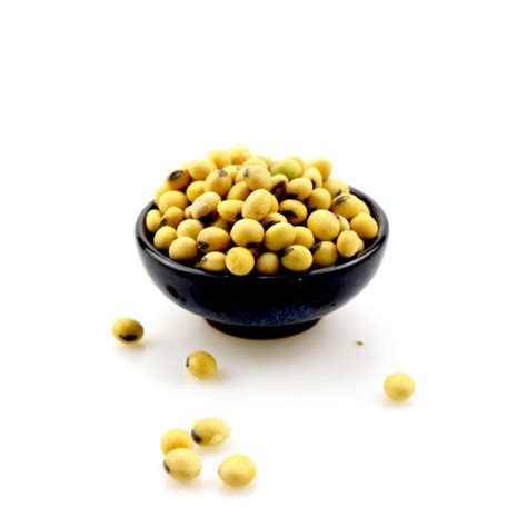 high protein Soybean soy beans - Manufacturers, Suppliers, Exporters & Importers from ...