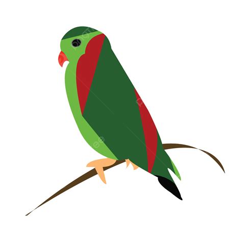 Colorful Bird Vector Illustration, Bird, Bird Vector, Birds PNG and Vector with Transparent ...