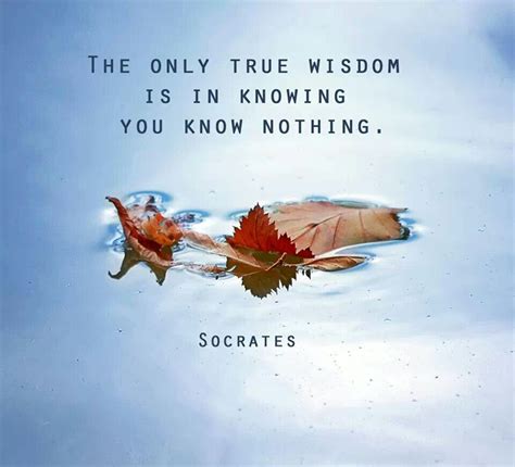 Socrates Quotes About Wisdom. QuotesGram