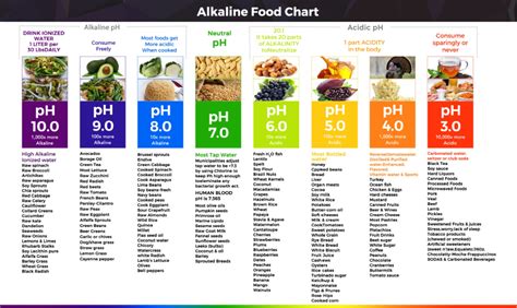 pH Food Chart | Acid-Alkaline Food Chart