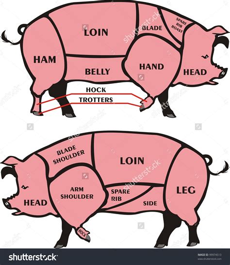 List Of Hog Cuts Diagram References - Bigmantova