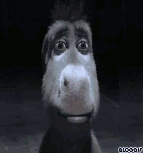 Donkey Shrek Donkey GIF - Donkey Shrek Donkey Shrek - Discover & Share GIFs