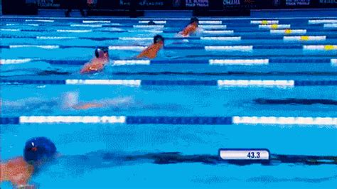 Swimming Olympics Gif / Gold Medal Swimming GIF by Team USA - Find & Share on GIPHY / Swimming ...