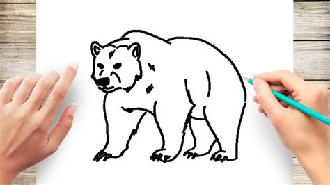 How To Draw Nev The Bear - Plantforce21