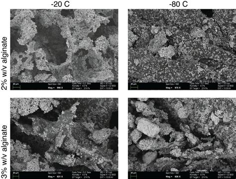 Effects of alginate properties and processing temperature on the... | Download Scientific Diagram