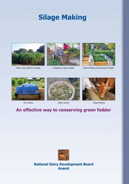 Silage making eng | PDF