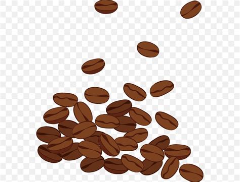 Coffee Bean Clip Art, PNG, 571x625px, Coffee, Bean, Cafe, Chemical ...