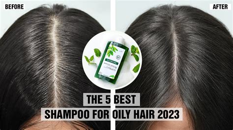 The 5 Best Shampoo For Oily Hair 2023 - AZ Hair